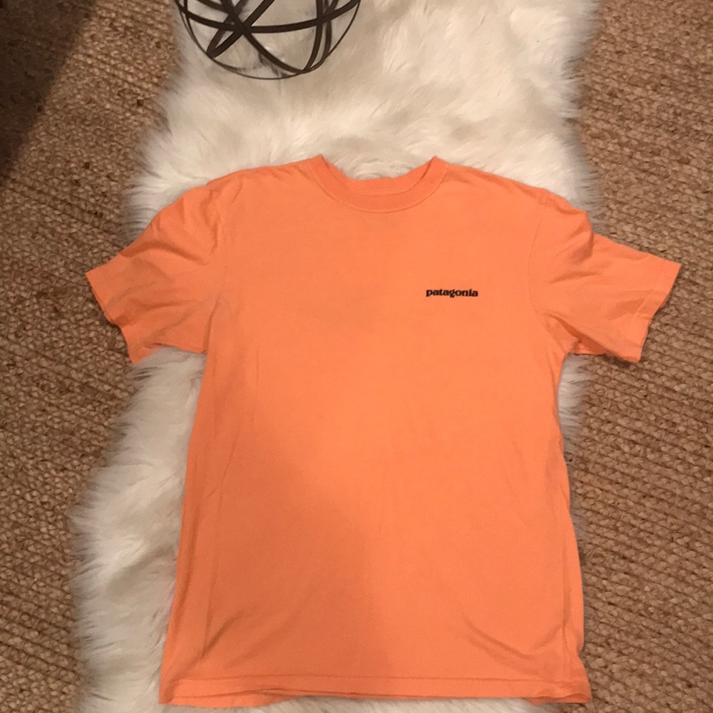 Men’s Patagonia t-shirt